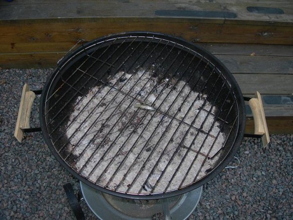 abborrfiske näs aug-07 043.jpg