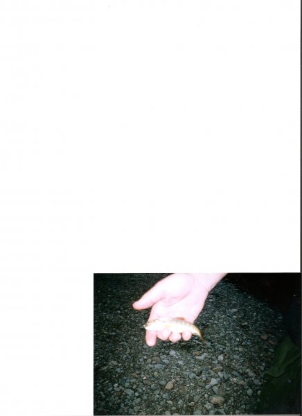 1an.jpg