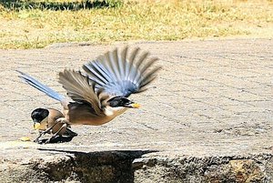 IMG_20190529_223208.jpg IMG_20190529_223208.jpg