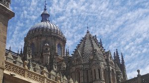 IMG_20190602_134245.jpg IMG_20190602_134245.jpg