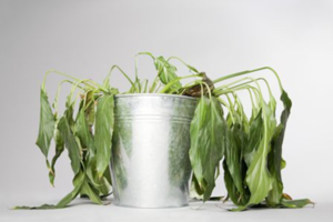 upload_2019-6-4_20-42-27.png upload_2019-6-4_20-42-27.png