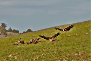 received_324603281791280.jpeg received_324603281791280.jpeg