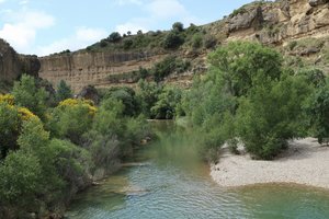 20190605124241_IMG_8423_1.JPG 20190605124241_IMG_8423_1.JPG