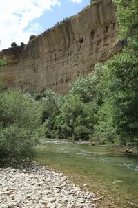 20190605125112_IMG_8431_1.JPG 20190605125112_IMG_8431_1.JPG