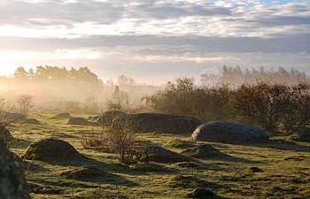 Den sanna historien om alla fel på en ny husbil, året är 2009.