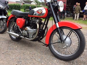 IMG_1919.JPG IMG_1919.JPG