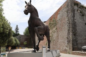 20190614115809_IMG_8447.JPG 20190614115809_IMG_8447.JPG