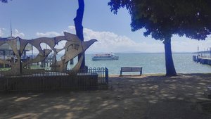 IMG_20190619_125154.jpg IMG_20190619_125154.jpg