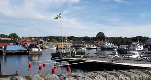 20190624_072244.jpg