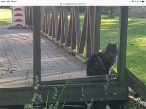 3D1C504A-5098-4AA0-9530-7D372E2C34A9.png 3D1C504A-5098-4AA0-9530-7D372E2C34A9.png