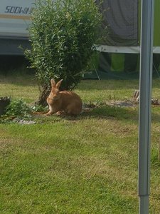 20190625_164201.jpg 20190625_164201.jpg