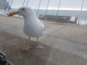 20190626_194416.jpg