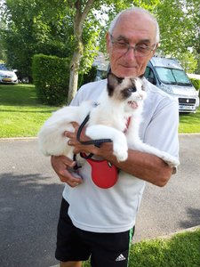 IMG-20190627-WA0002(1).jpg IMG-20190627-WA0002(1).jpg