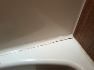 Toilet, right side at the floor .jpg