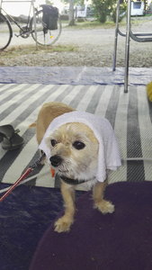 IMG_20190627_201241.jpg IMG_20190627_201241.jpg