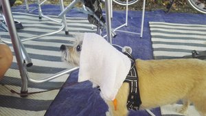 IMG_20190627_201136.jpg IMG_20190627_201136.jpg