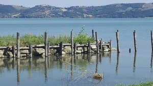 IMG_20190627_164130.jpg IMG_20190627_164130.jpg