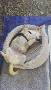 IMG_20190627_185849.jpg IMG_20190627_185849.jpg