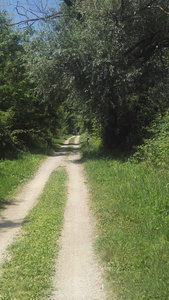 IMG_20190625_121428.jpg IMG_20190625_121428.jpg