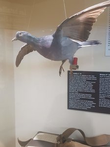 20190629_132626.jpg 20190629_132626.jpg