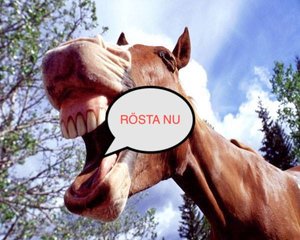 upload_2019-7-2_8-33-42.jpeg