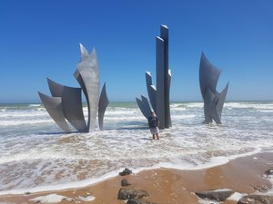 20190704_124723(0).jpg 20190704_124723(0).jpg