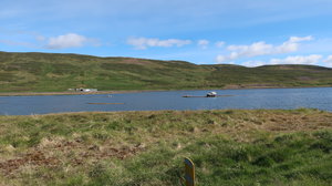 IMG_2972.JPG IMG_2972.JPG