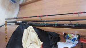 IMG_0783.JPG IMG_0783.JPG