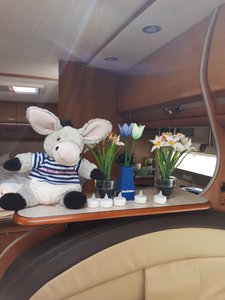 20190707_120657(1).jpg 20190707_120657(1).jpg