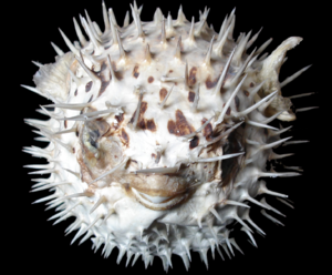 upload_2019-7-8_8-22-48.png upload_2019-7-8_8-22-48.png