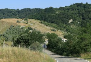 IMG_20190706_213919.jpg IMG_20190706_213919.jpg