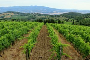 20190711153725_IMG_9064.JPG 20190711153725_IMG_9064.JPG