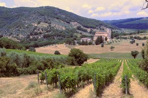 20190712104127_IMG_9119.JPG 20190712104127_IMG_9119.JPG