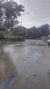 IMG_20190713_145417.jpg IMG_20190713_145417.jpg