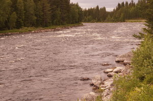 Älva, Vildmarksmuseum, väg 26, 15 juli 002.JPG