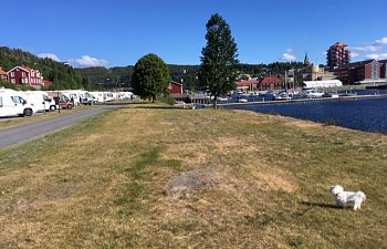 thumbnail_IMG_2920 (1).jpg thumbnail_IMG_2920 (1).jpg