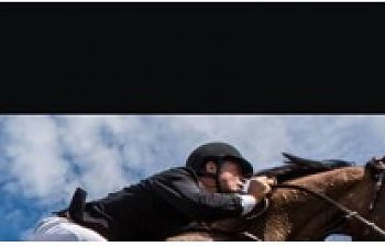 Bild 6 SVT-inst-1.jpg