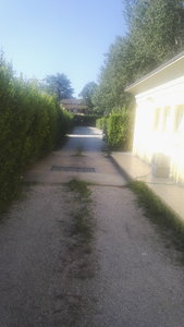 IMG_20190717_083606.jpg IMG_20190717_083606.jpg