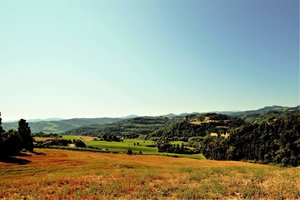 received_630718844000528.jpeg received_630718844000528.jpeg