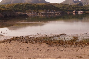 Badplats 2 km v Oksvoll 20 juli 003.JPG Badplats 2 km v Oksvoll 20 juli 003.JPG