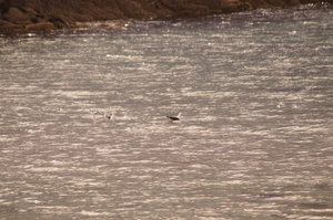 Badplatsen söndag 21 juli 001.JPG