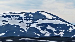 20190721155140_IMG_1286 (1).JPG