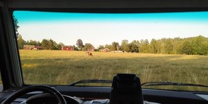IMG_20190725_201303.jpg