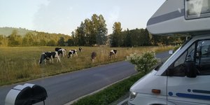 IMG_20190725_202127.jpg