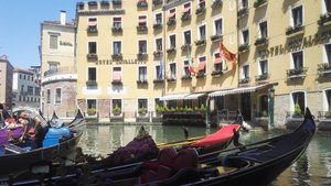 IMG_20190723_130718.jpg IMG_20190723_130718.jpg