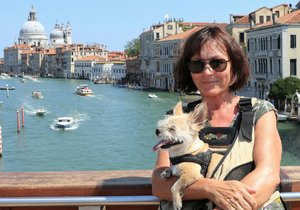 IMG_20190723_194342.jpg IMG_20190723_194342.jpg