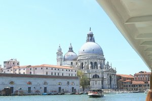 IMG_20190724_190037.jpg IMG_20190724_190037.jpg