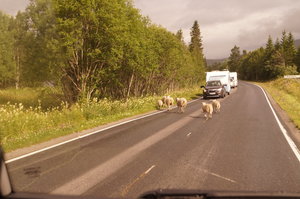 E6 mot Mosjöen, Laxforsen. mot svenska gränsen 003.JPG