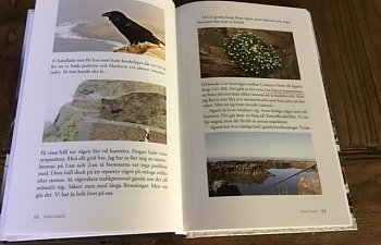 IMG_0675.JPG