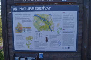 Norge  Sv gräns, Lycksele. Kyrkgrottan Kristineberg,mårdselefors 064.JPG